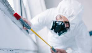 Best Pest Prevention Services  in Elmwood, IL